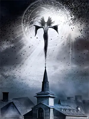 和植物的一场对话