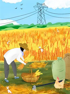 私人博物馆小说